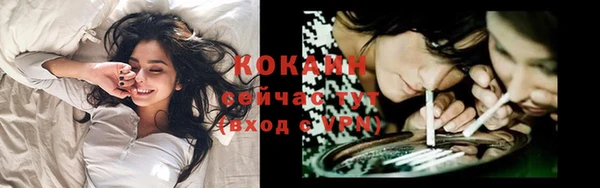 СК Аркадак