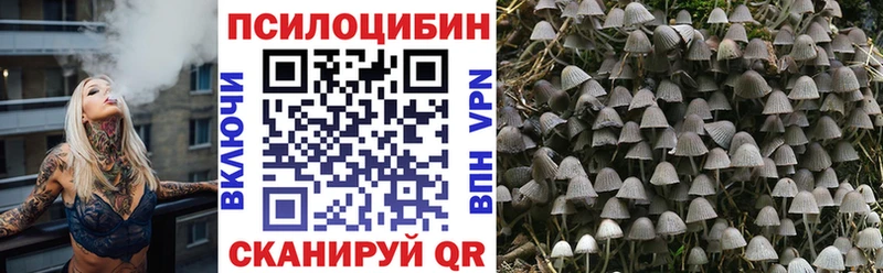 Псилоцибиновые грибы Psilocybine cubensis  Строитель 